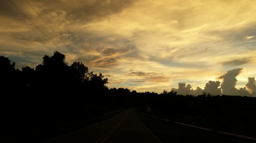 cokeproblem:The sky was a golden whirlwind yesterday