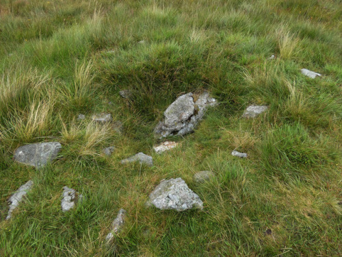 Brat’s Hill Stone Circle, Burn Moor, near Boot, Cumbria and Lake District, 26.7.17. The larges