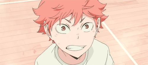 daiifukuu:  Actual cinnamon roll, Hinata Shouyo 
