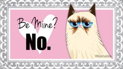 The Official Grumpy Cat's Tumblr