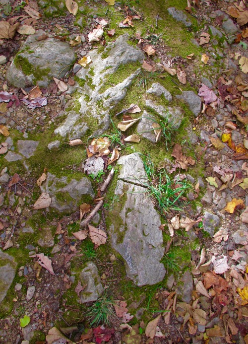 Along the Appalachian Trail, the stones start looking worn from all of the shoes for all of these ye