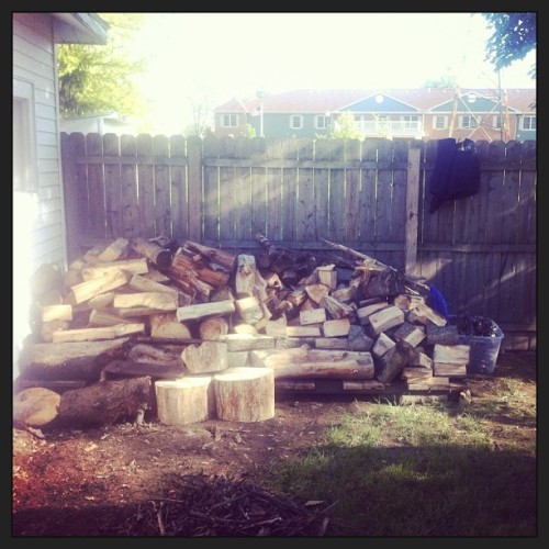 Got enough wood to last us all summer for our bonfires. :)
