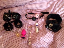 little-babywhore:  My collection is growing but I’m nowhere near done! Amazon and bdsmgeekshop are my heroes