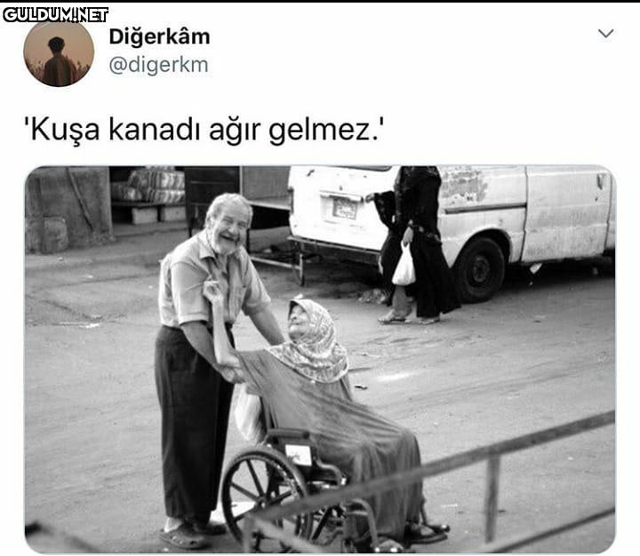 Hiç Birşey Mutlu Olmaya...