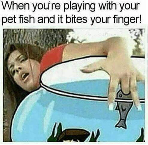 failnation:  For some reason, they always bite…