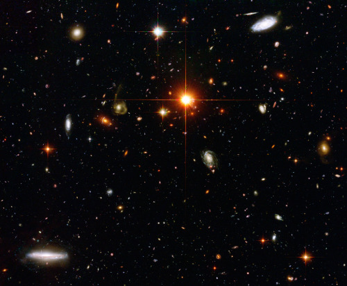 Porn Pics space-pics:  Galaxy Field in Fornax by Hubble