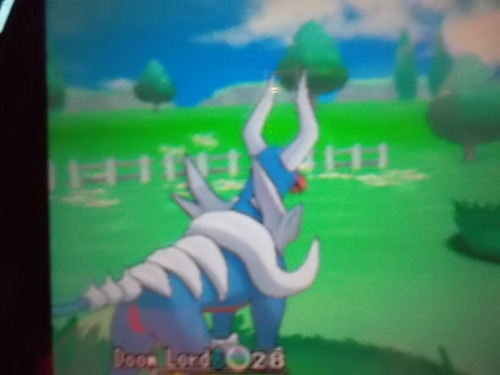 the-pokemon-adventurers:  My baby ;w;  holy shit