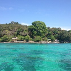 Wheredoyoutravel:  The Long Beach, Beautiful 💙🐠🌺 Oi Tailândia - Koh Phi