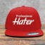 hatersanatomy
