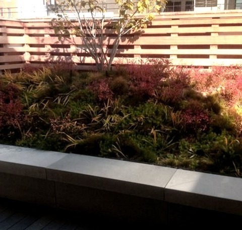 Uncovered - DeckInspiration For A Large Contemporary Rooftop Deck Remodel With No Cover