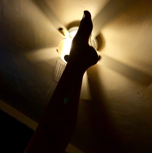 rugcutter32003: Through the light!