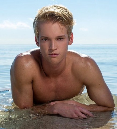 Random Hotness Gayboyks.bdsmlr.com