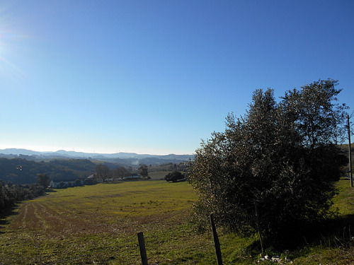 Winter in Portugal is blue and green.