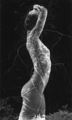 Ruth Bernhard - Symbiosis, 1971