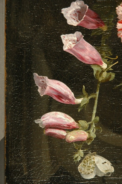 Festoon of flowers to a bust of Flora  (Details)   -    I.P. van Thielen , 1665Dutch , 1618-1667Oil 