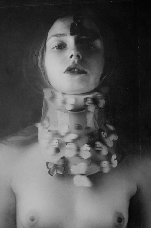 mira-mirabiliaimages:“Butterfly effect”