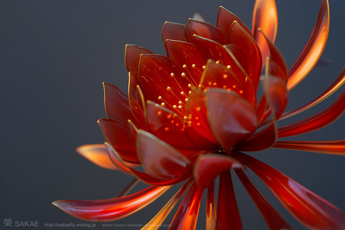 itscolossal: Exquisite Japanese Floral Hair Ornaments Handcrafted from Resin by Sakae