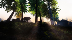 outerreality:  The Elder Scrolls III: Morrowind - Ebonheart Trail 