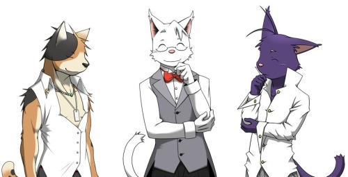 innocent-gamer-shun:  ~Neko Neko Neko~