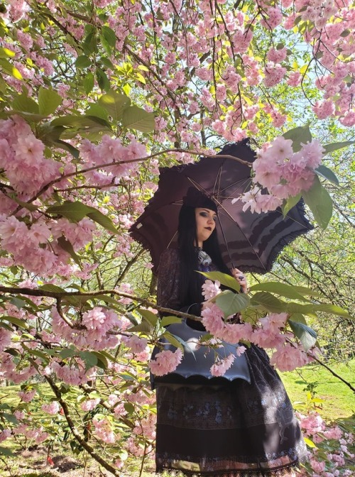 wingedanklets: In the japanese gardens of Hasselt for this month’s picnic meet! All photo cred