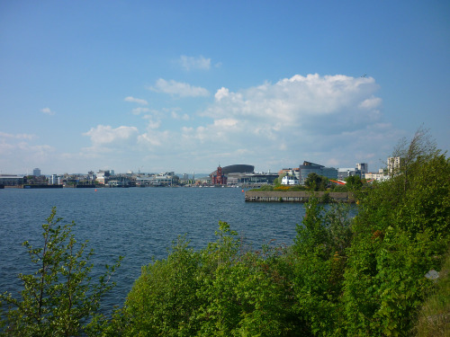 This is how I spent my afternoon - a boat ride across the Bay and then a walk back around the barrag