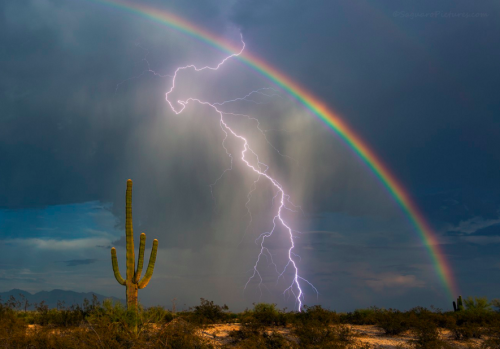 viewbug: Chaos In Nature Photo Contest Winners“This once-a-lifetime shot really showcased the 