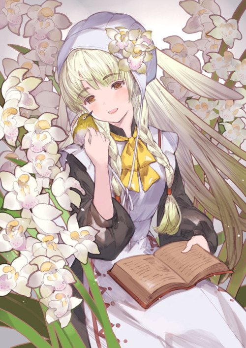 taroji:  シンビジウム　 Cymbidium  