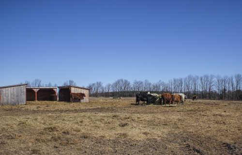 Wishing Well Sanctuary, in Bradford, Ontario, has started having their tour days.  They are trying o