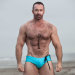 nftoddybear: