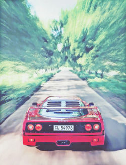 F40 FTW