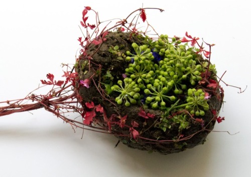 Human Organs Formed with Wild Plant Arrangements by Camila Carlow UK-based, Guatemalan-born artist C