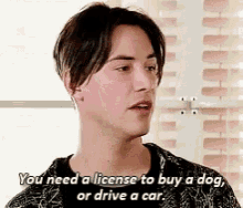 parks-and-rex: boobies-are-candy:  parks-and-rex:   parks-and-rex:   mcthedoodler:   parks-and-rex:   parks-and-rex:   parks-and-rex:   justcuchu:   parks-and-rex:   parks-and-rex:  REBLOG IF YOU LOVE DOGS     MAYBE I’M SMALL AND EMOTIONALLY UNSTABLE