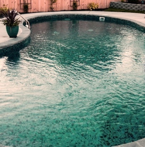 Beach Style Pool - PoolMid-sized Coastal Backyard Concrete Pool Landscaping Idea With A Kidney-shaped