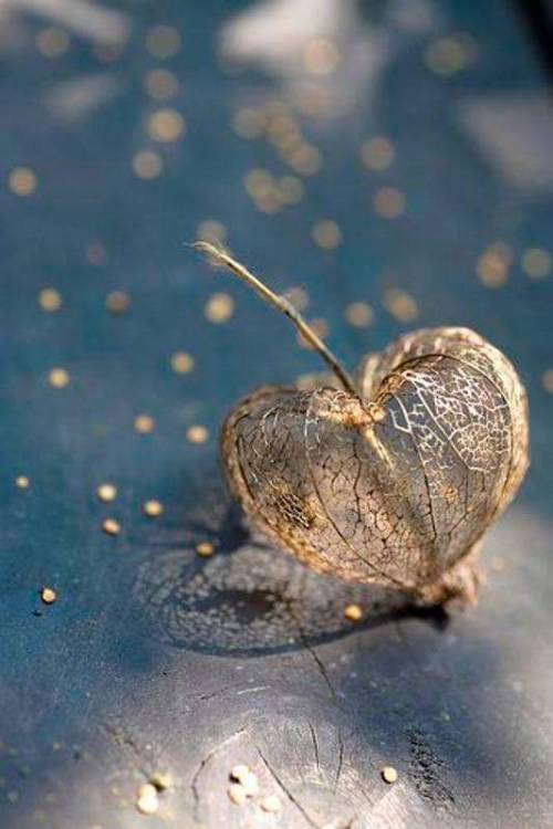 arsamandix:  Ars amandi ♥ the art of love. 