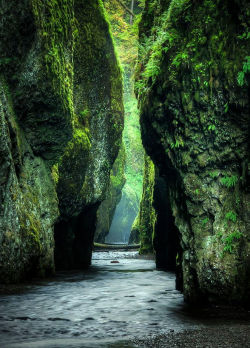 lori-rocks:  Columbia River Gorge in Oregon, USA… by Brian Bonham