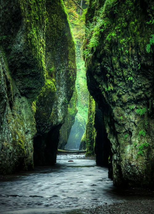 Columbia River Gorge in Oregon, USA… by Brian Bonham