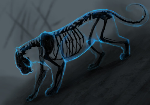 jademere: Compilation of my Surreal Tigers over the last year(s) :) This was a fun sketch subject to work on, but I’m moving on to other things now and probably won’t be adding to these guys anymore. 