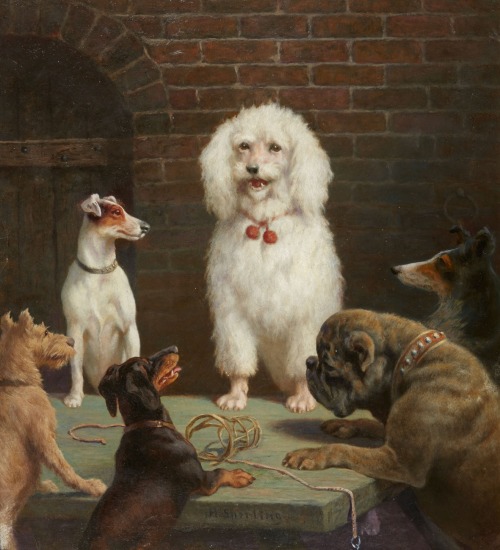 Heinrich Sperling, Dog conversation, 1900. Oil on canvas. Via Lempertz.