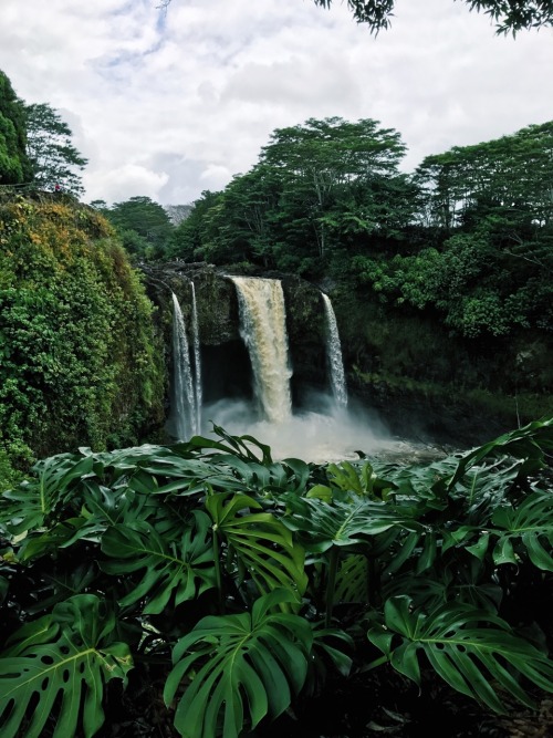 adam-hawaii:Rainbow falls