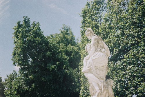 englishsnow:   Sarah Longworth  Schönbrunn Palace