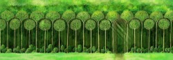 ozgunergin:  ”Benim ormanım.” Aisling
