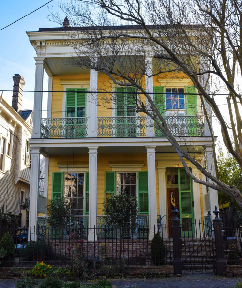 Garden District beauties. New Orleans, Louisiana. March 2016.・For optimal photo quality, view the ga