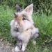 madammaddy: