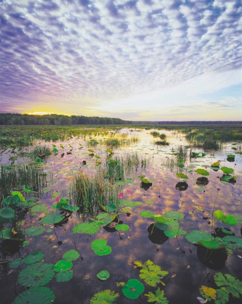 Photograph Kakadu National Park with Steve Parish [Only 16 Places Left!] 15th - 19th July 2013 Kakad