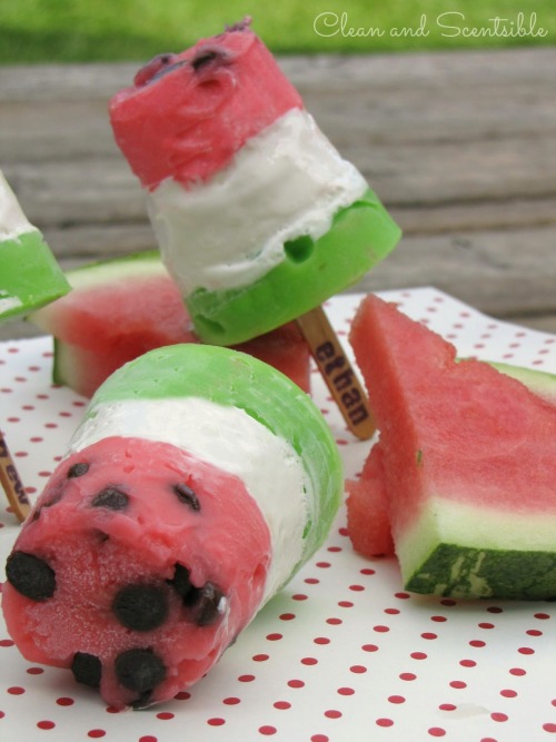 DIY Watermelon Pudding Chocolate Chip Popsicles Tutorial and Recipe from Clean &amp; Scentsible here