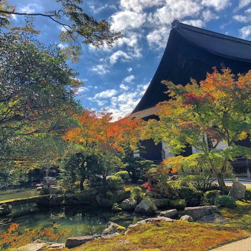 【新しい #国指定名勝 庭園の話】 知恩院方丈庭園 [ 京都市東山区 ] Chionin Temple Hojo Garden, Kyoto &hellip;&hellip;.. Tw