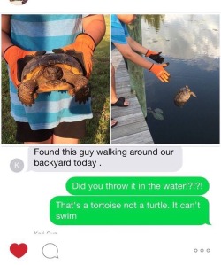 shut-your-tits:This is going viral on Facebook right now. There are jokes being made about it, and it makes me sick. Let me educate you guys, and hopefully save a few turtles in the process:  1. Turtles know where they’re going. DO NOT MOVE THEM IN