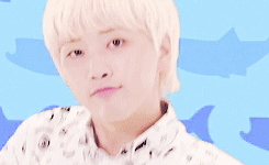 jxnyung:  (ʃƪ ˘ ³˘) ♡