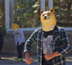 odditymall:    Doge Mask, Much Cool, So Wow!http://odditymall.com/doge-mask