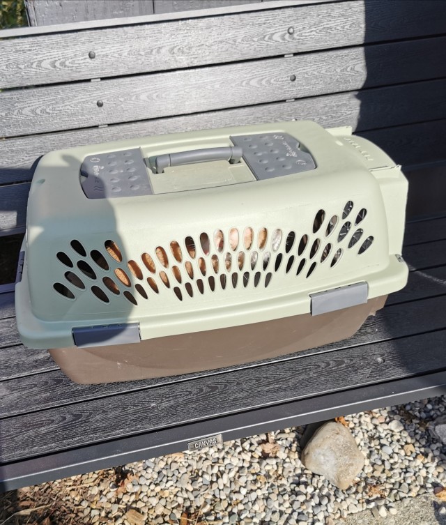 Cat carrying case sitting on a bench outside the veterinary clinic. 